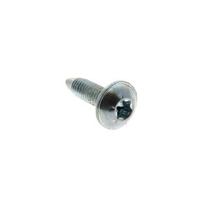 VIS M3.5 X 12 TORX T15