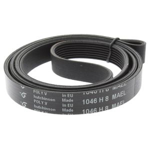 CINGHIA  L=1046 - 1051 MM H8 ELASTICA