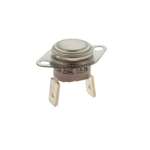 THERMOSTAT 100 C