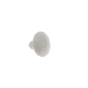 PION